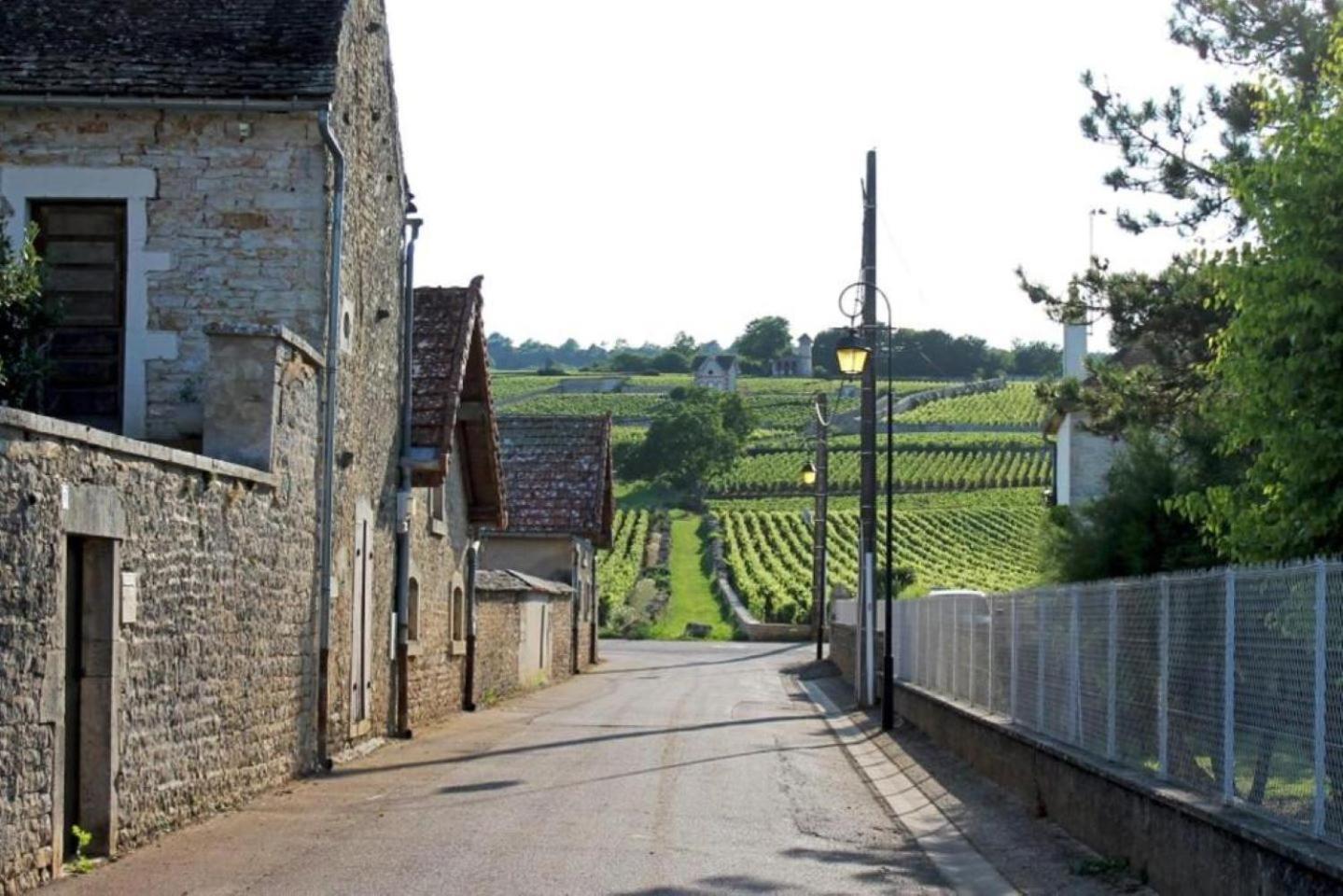 Le Lagon Bleu - Centre Ville - Maison Boucicaut - By Primo C0Nciergerie Chalon-sur-Saône Exteriér fotografie